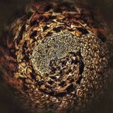 World Of Illusions Podcast - Deep Trouble - December 2014