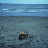 8.37p.m. - The Very Tracks Mix part 1