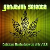 Delicious Beats Dubwize dnb Vol.3