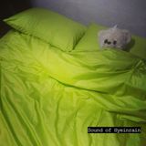 Sound of Hyeinrain #008