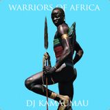 Warriors of Africa
