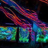 DJ Johnnson - Psyologica #2 @ the forest