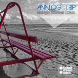 Analog Trip - Midnight Summer Dream (Original Mix)