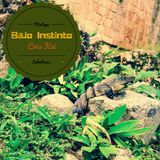 Bajo Instinto Mixtape 3.2016