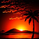 Coconut Beats Vol.1