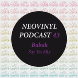 Neovinyl Podcast 43 - Babak - Say Yes Mix