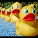 La danse des canards by Dr ILL (connectix records)