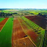 ALJ Terra Viva - Prog Nº 794-464 - 6ªf 08-03-2019