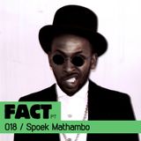 FACT PT Mix 018: Spoek Mathambo