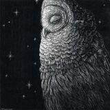 mR_BLACk - Nocturnality