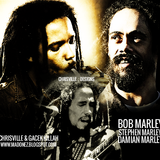Marley Session Vol.2 - Bob Marley | Damian Marley Mix | Stephen Marley| Mix