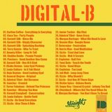 100% Digital B Mix by Straight Sound
