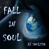 Fall In Soul