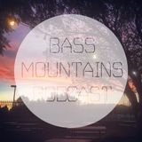 Bass Mountains Podcast #114 - Scatterbrain & Ncrypt, Puddles