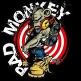 Bad Monkey Presents- Digital Dub Plates Volume One