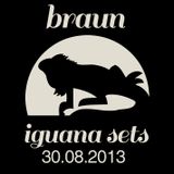 Braun Iguana Sets: 30.08.2013