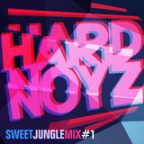 DJ Hardnoyz - Sweet Oldskool Jungle (Pt.1)