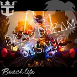 DEAR DREAM INSANE DJ SET (luis mira & alexis jardon edit)