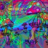 THE PSYCHEDELIC MIND --- PLASTIC VISION