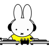 Vinyl Vinnie mix