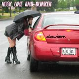 Davizm_HookLine&Blinker2007