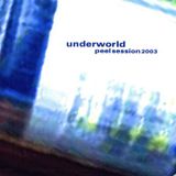 Underworld - Live 2003-10-12 John Peel Session, BBC Radio 1