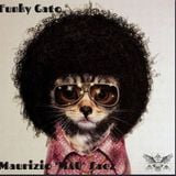 Funky gato vol.3.432