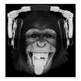 White Trash Monkeys - 1/2 a monkey mix