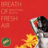 DJ Spliff Raida & Lady N - Breath Of Fresh Air