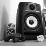 PTDR8: Best Of 2015