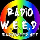 Live in the Weed Lounge 2014 (Episode 1) with Blues and Wraith