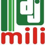 DJ Mili in the mix vol.25