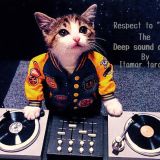 The Deep Sound of Life