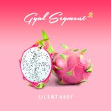 Gyal Segment Part 2 (Dancehall Mix)