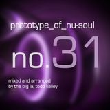 Prototype of Nu-Soul 31