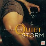 THE QUIET STORM