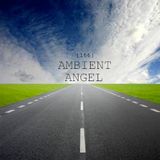 Ambient-Angel (166)