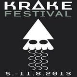 Bill Youngman (Live PA) @ Krake Festival 2013 - Suicide Circus Berlin - 09.08.2013