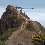 Singularidades_RUC_As histórias da Paula Freak