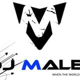 Armin Van Buuren Vs. Martin Garrix - Ping Pong Animals (DJ MALEK Mashup)