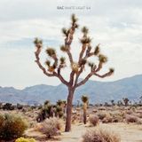 White Light 64 - RAC