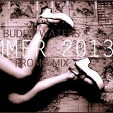 Summer '13 Promo Mix (Raw)