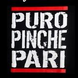 DJ Elias - Puro Pinche Pari Vol.8