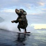 Sidewalk Surfing E04 (2/27)