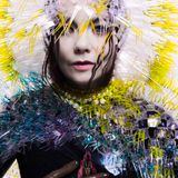 Especial Björk