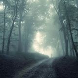 Step Into the Twilight Forest - mixed by Philip Minimal