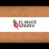 22-11-2015 Nota a Johanna Sapoznik fundadora del "Brote Urbano"