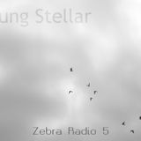 Zebra Radio 5