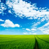 Stepanovic - Before Summer Mix