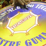 ENSAIO TÉCNICO ACADÊMICOS DO TUCURUVI 2015